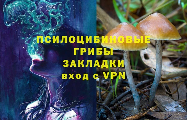 прущий лед Алексин
