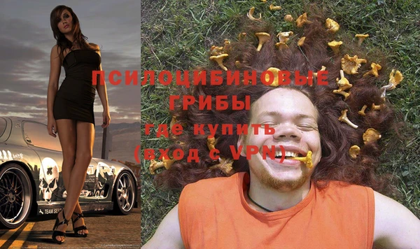 прущий лед Алексин